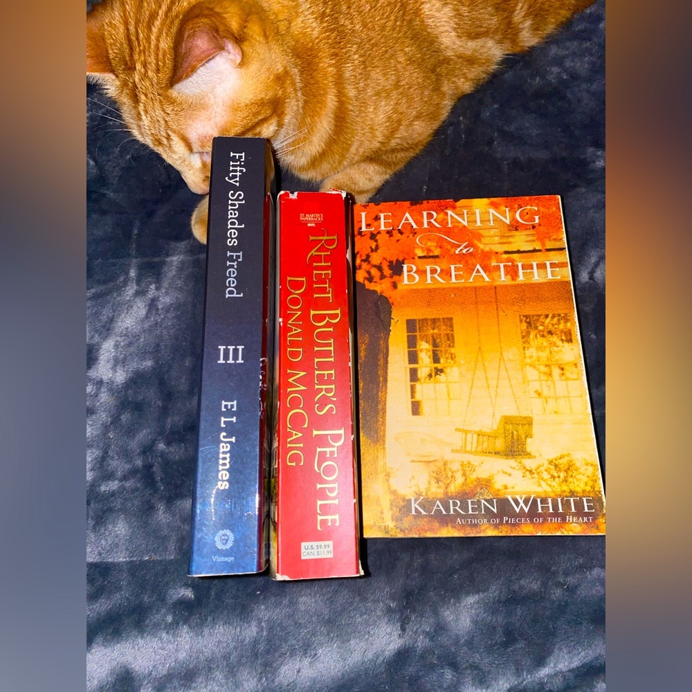 Rhett Butler’s People By Donald McCaig